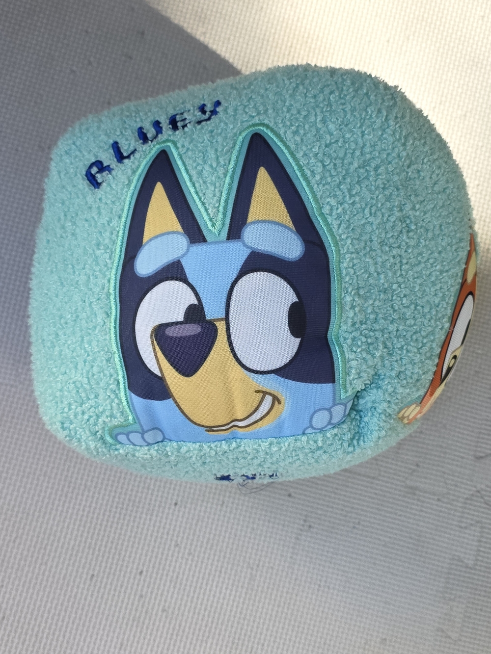 Bluey Cube Pillow
